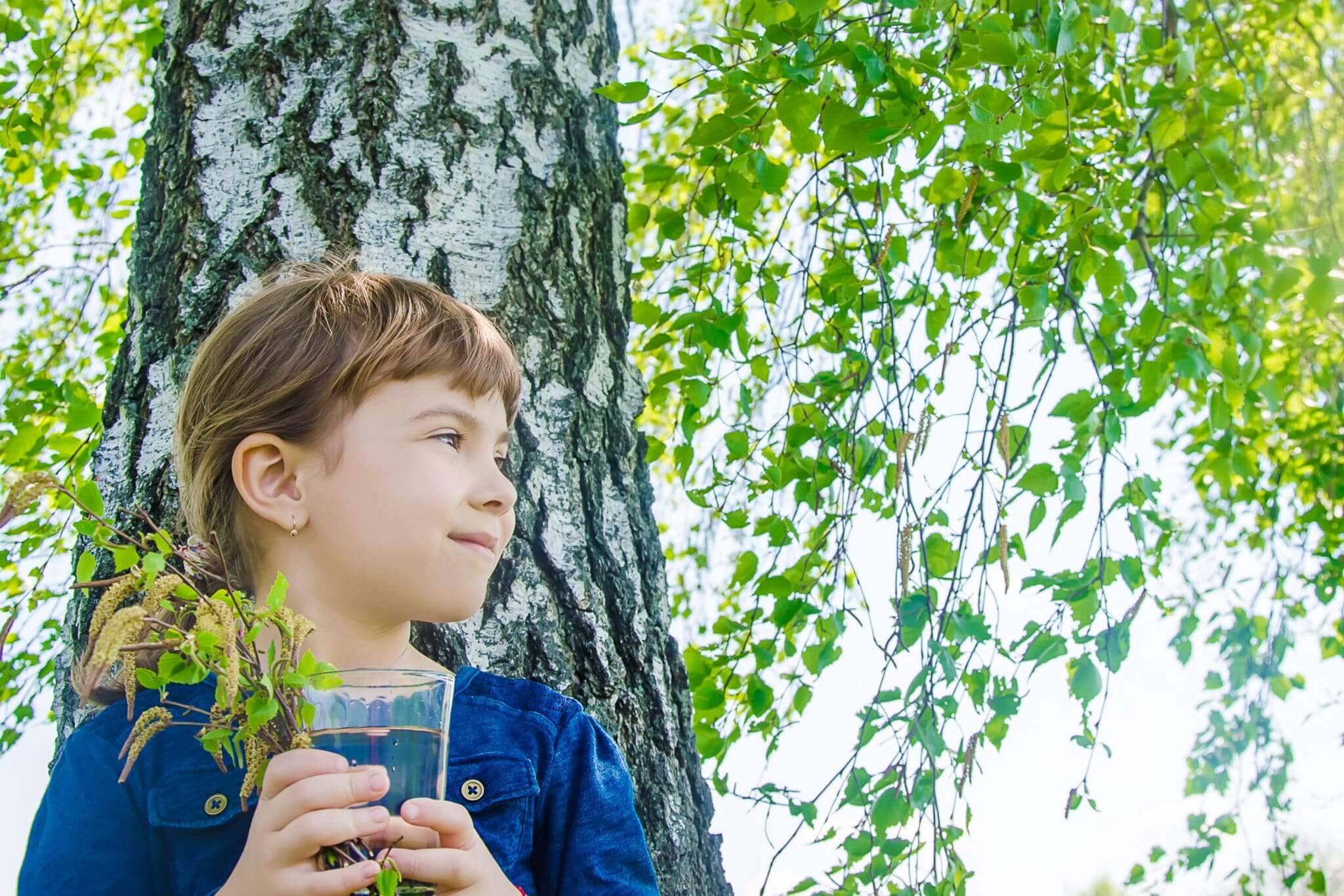 Birch Water – What is it, who’s it good for, and why?